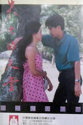 失火的天堂1985(全集)